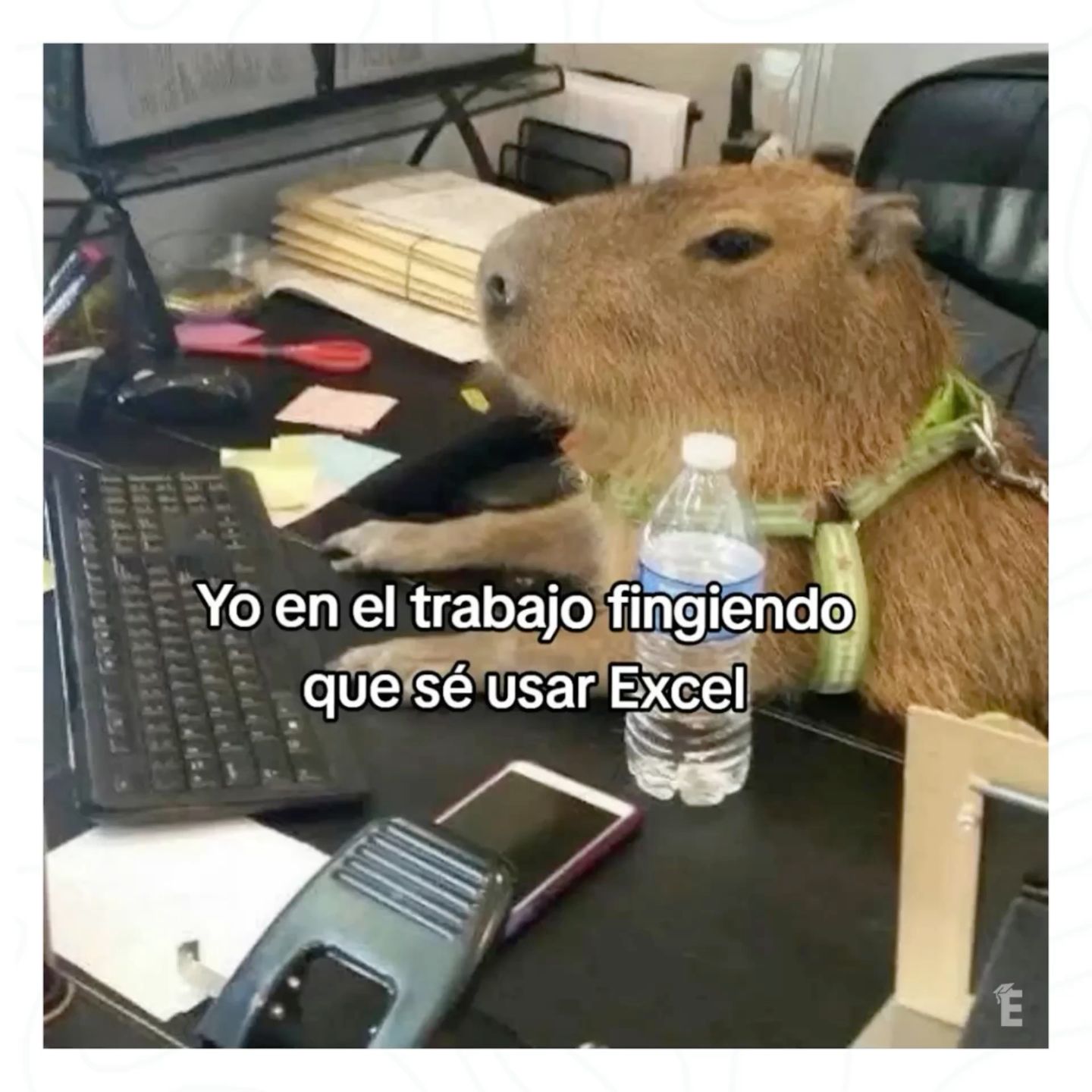Mejor era aprenderlo de verdad.😔