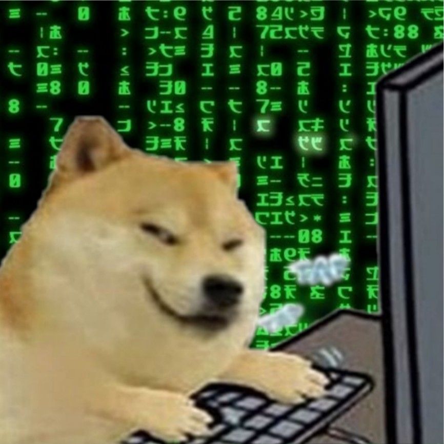 hacker dog