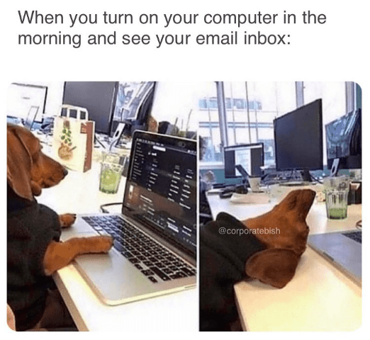 50 Relatable Work Memes to Send to Your Favorite Coworker on Company Time