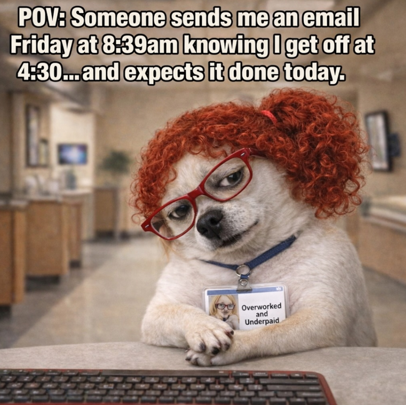 ‘My computer saw things today’: 22 Work Memes Straight From the Office Trenches