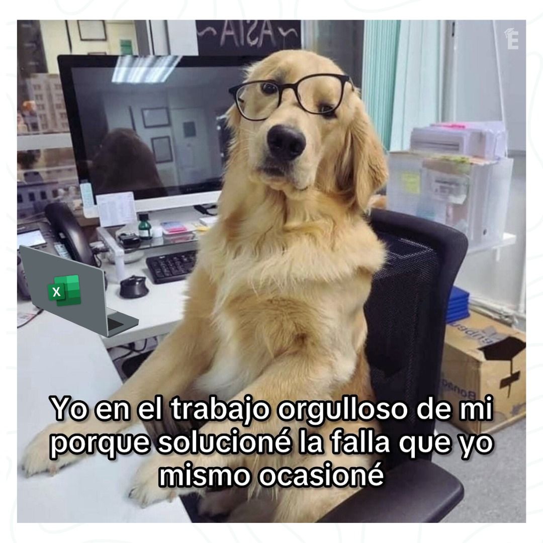 Lo importante es solucionar. 🥴