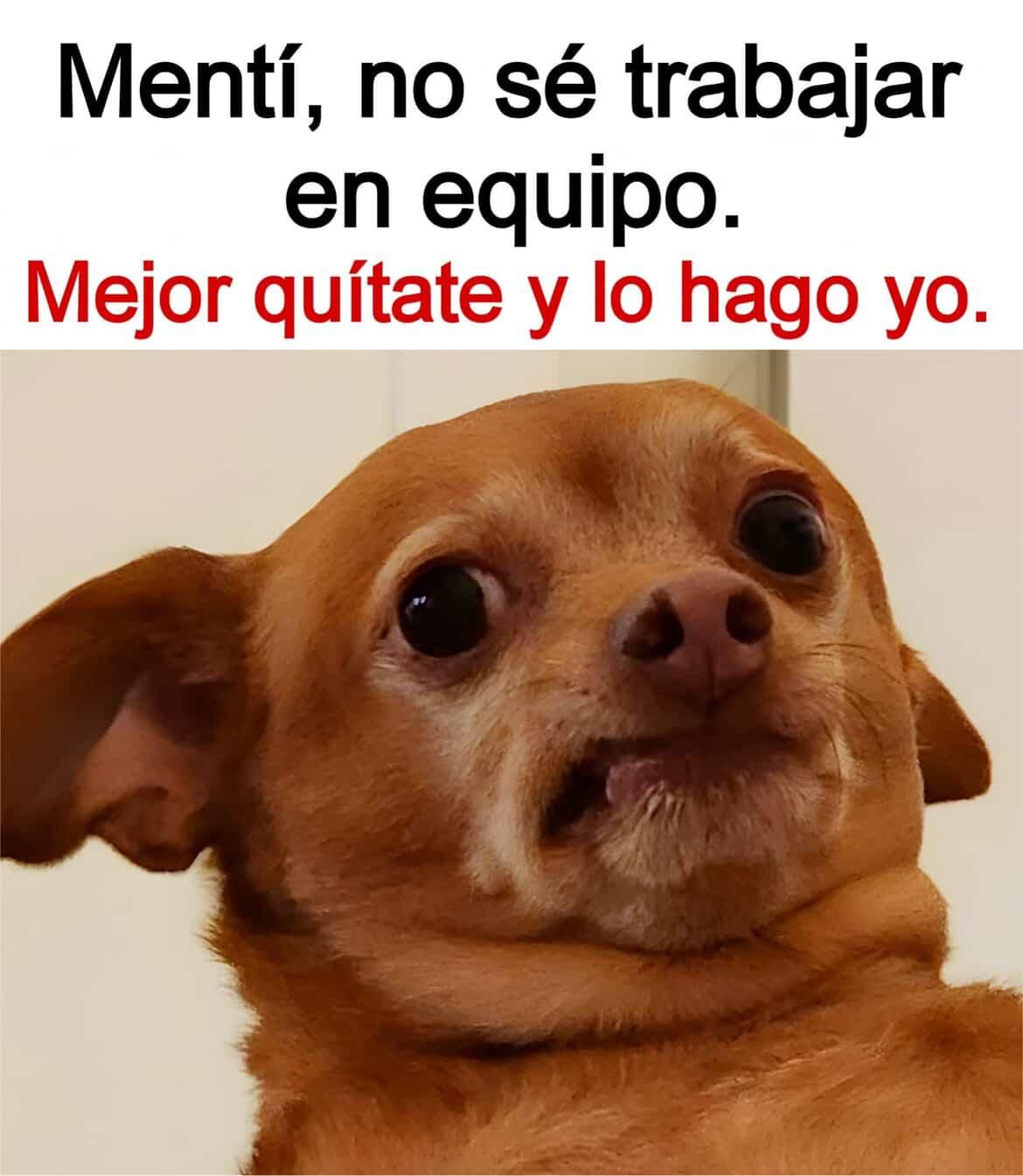 Mentí, no sé trabajar en equipo. Mejor quítate y lo hago yo.
