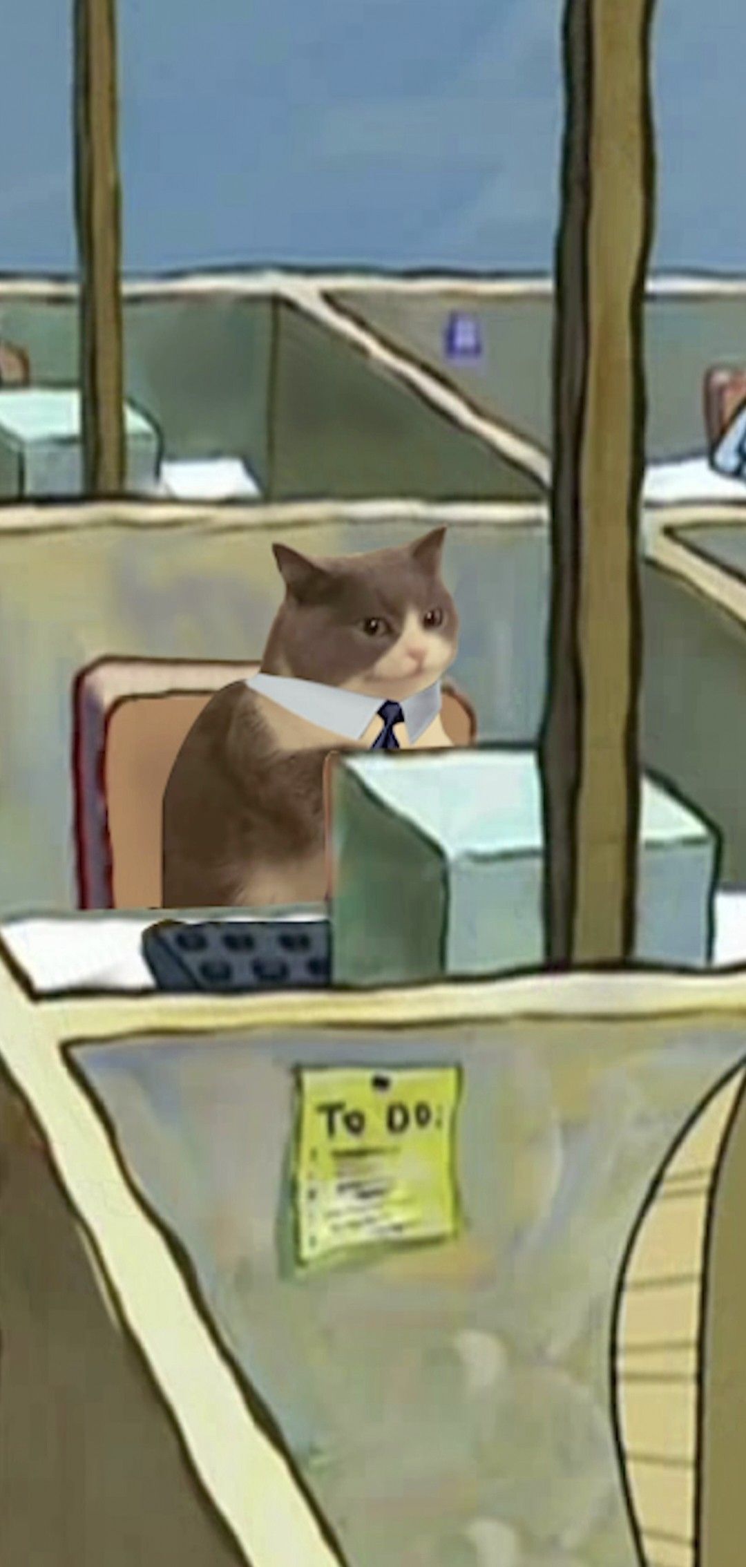 Stressed cat