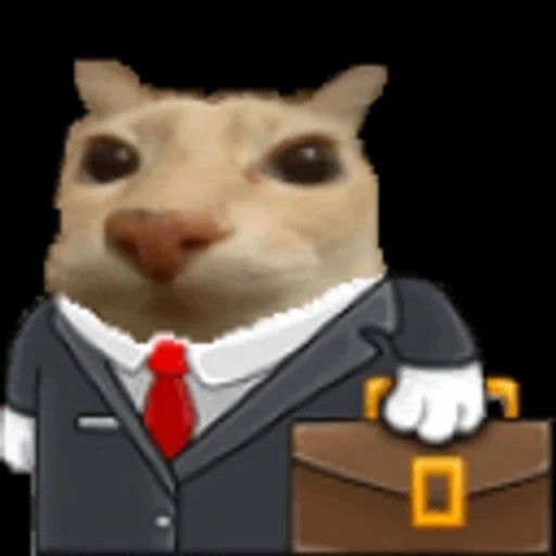 gatinho indo ao trabalho