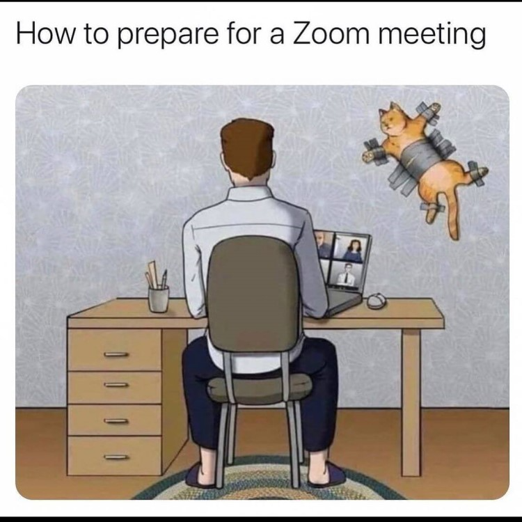 50 Work From Home Jokes