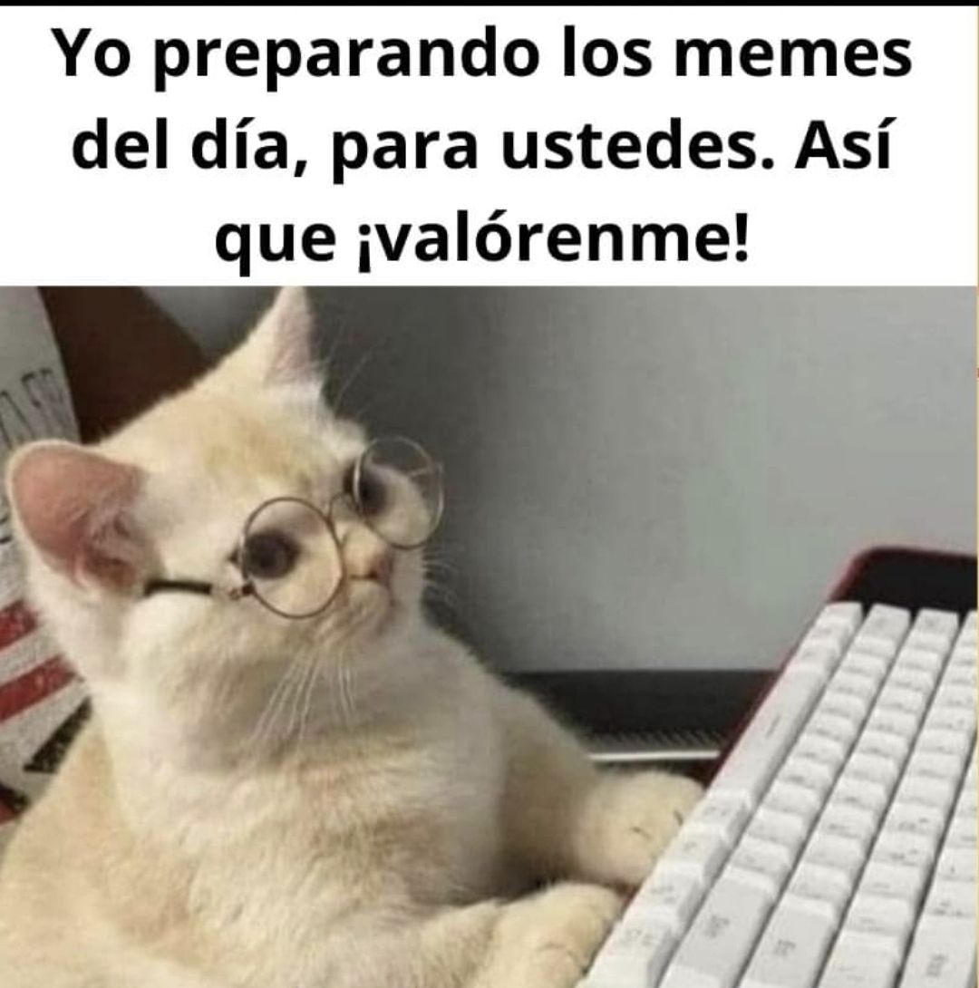 Aquí trabajando para ustedes con muchos memes para alegrarles el día  Xoxo  Karen Cabrera