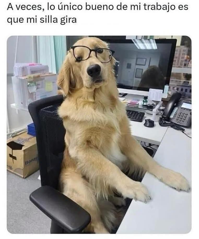 Humor del día 😅