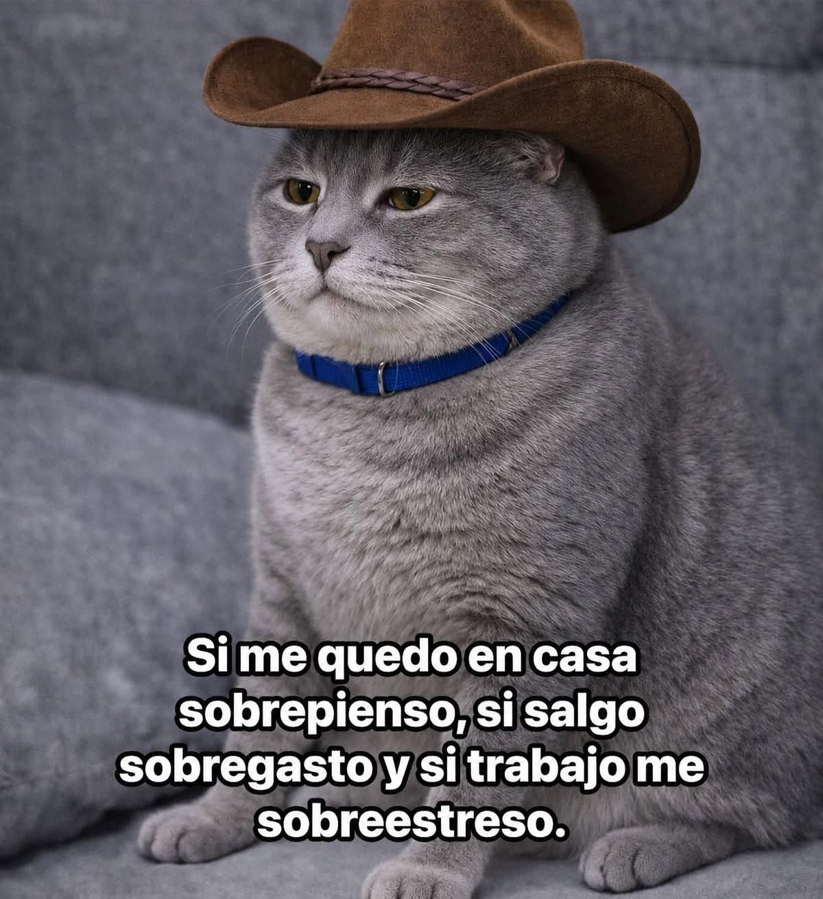Untitled post 1728