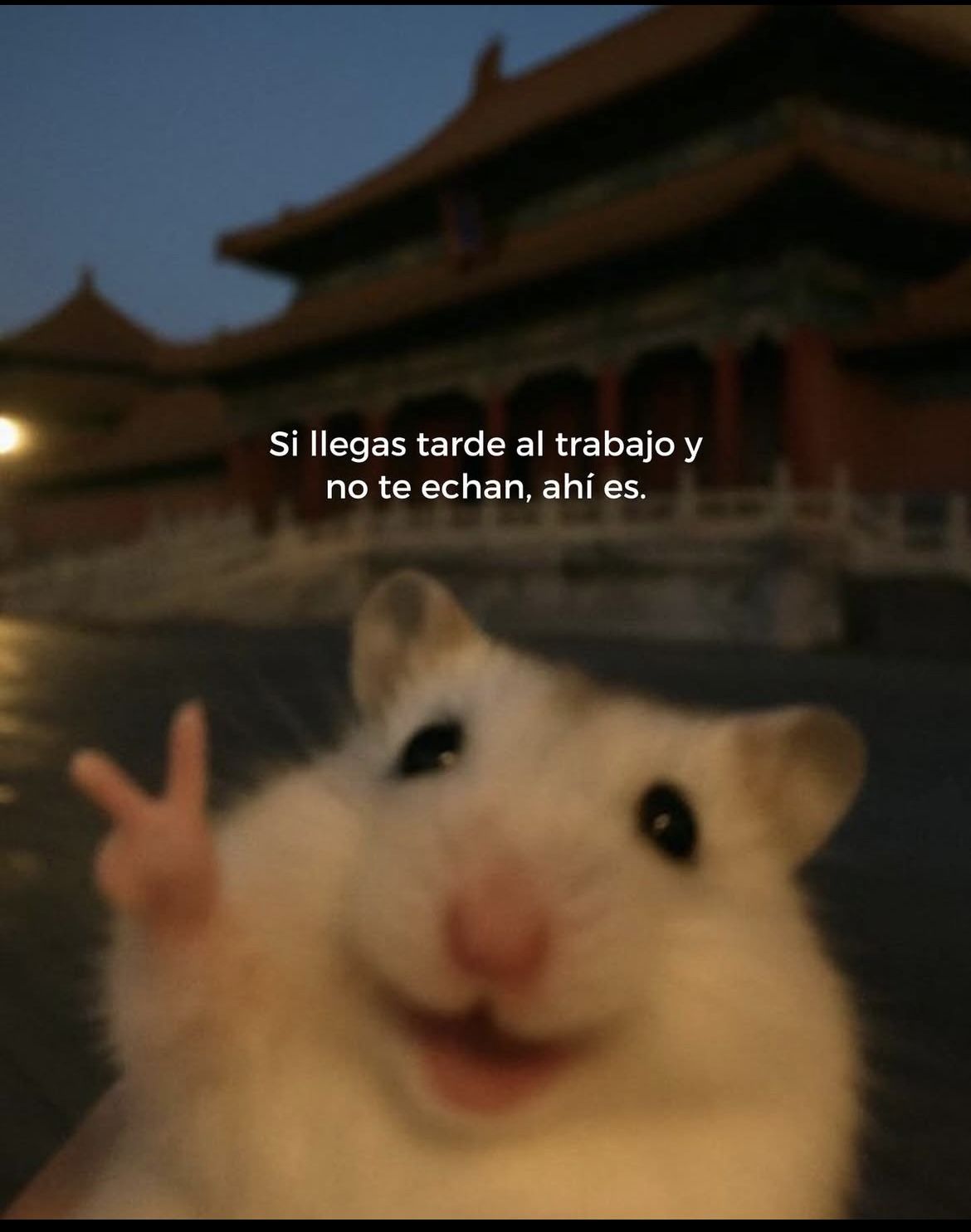 Untitled post 2437