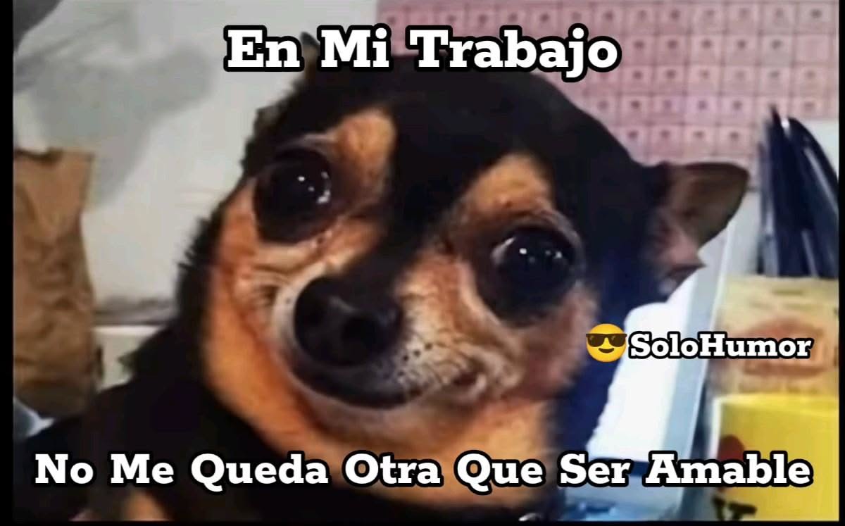 😎#SoloHumor 😂#EnMiTrabajo (Si mi contenido es de tu agrado, dale me gusta y sigueme)