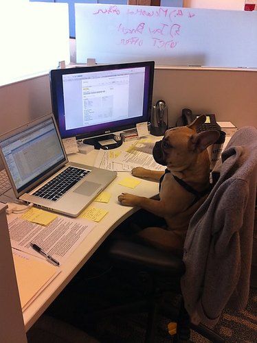 Yammer Office Photos
