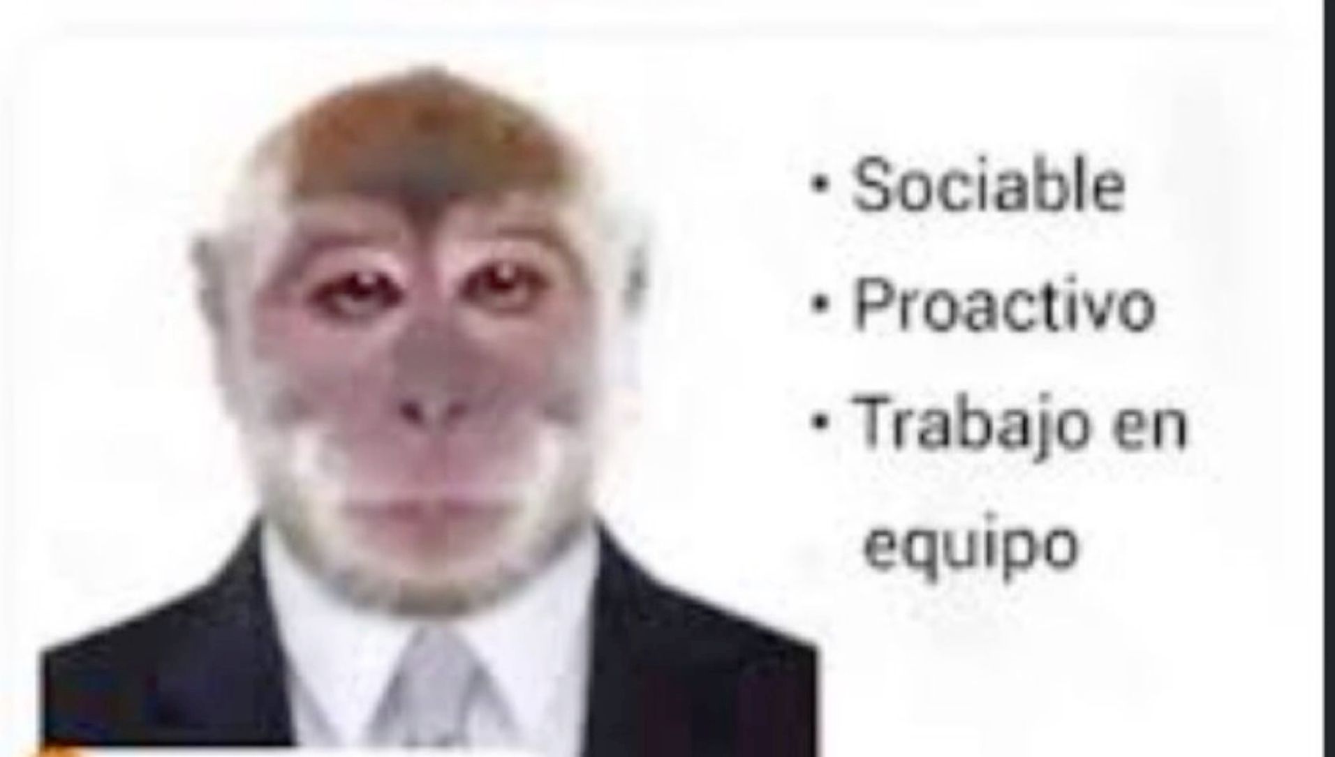 mi currículum