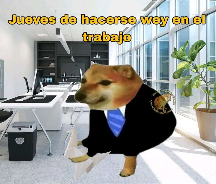 Yo