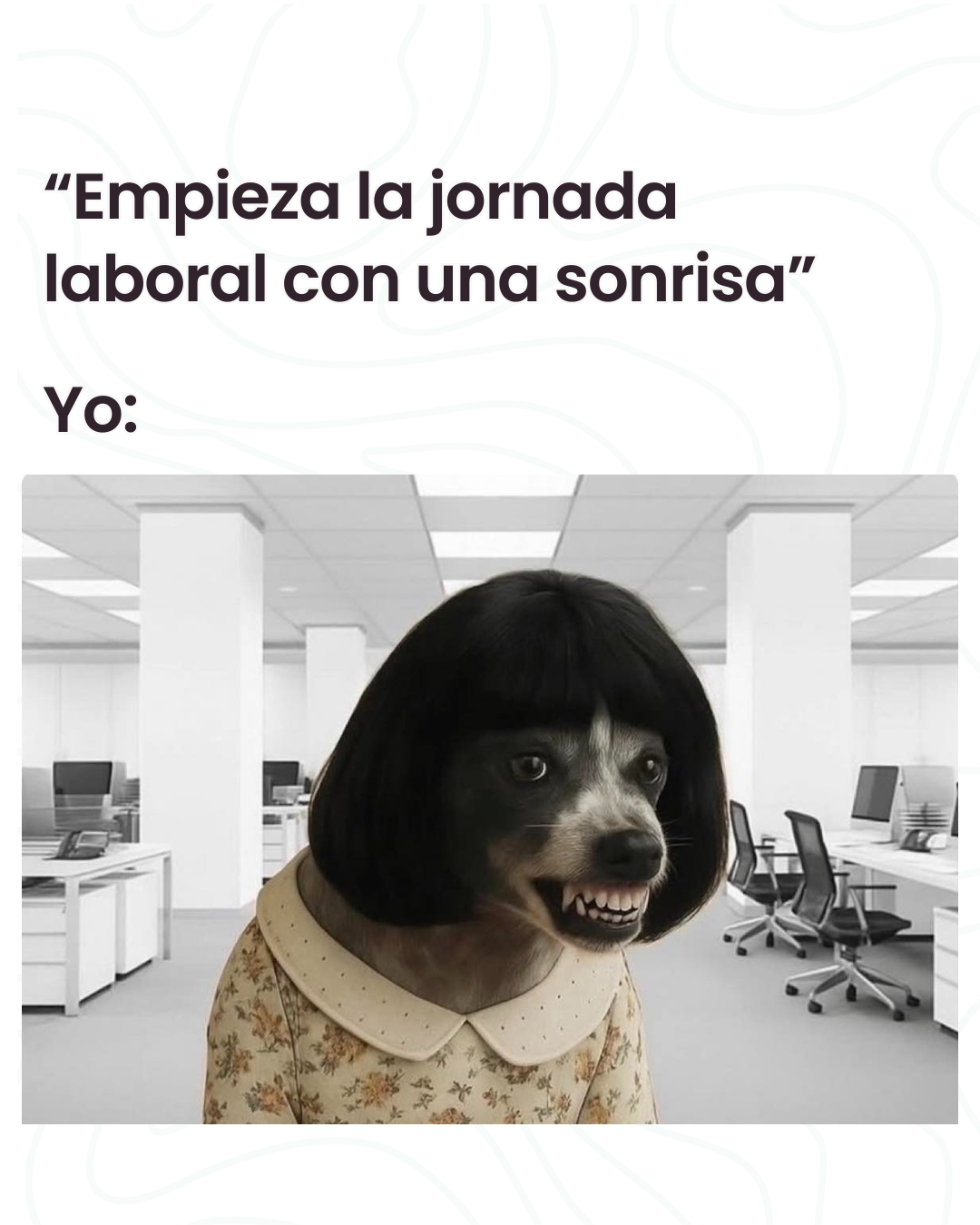 Sonrisa perfecta jefe. 😒