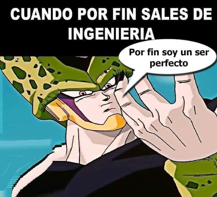 Cuando por fin sales de ingeniería