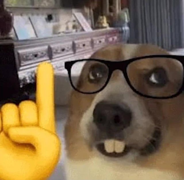 Pongan “De hecho” y dejen que las sugerencias terminen la oración XDXDXD *no obligatorio*🤓👆