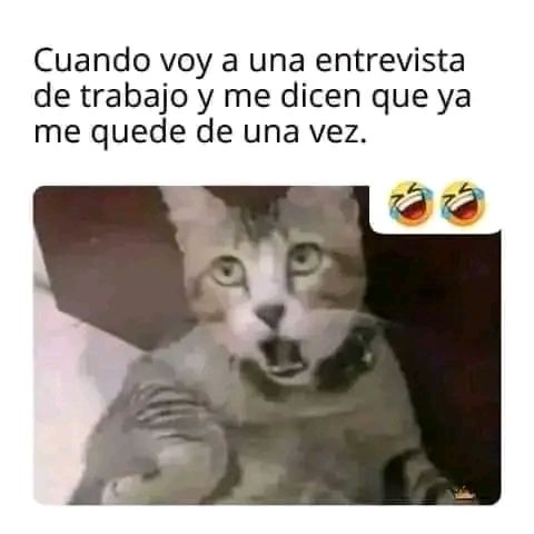 memes