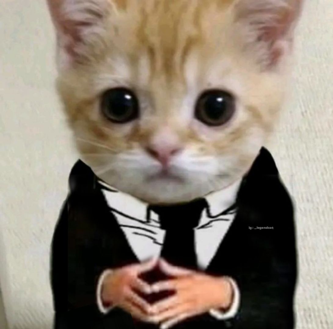 businesscat
