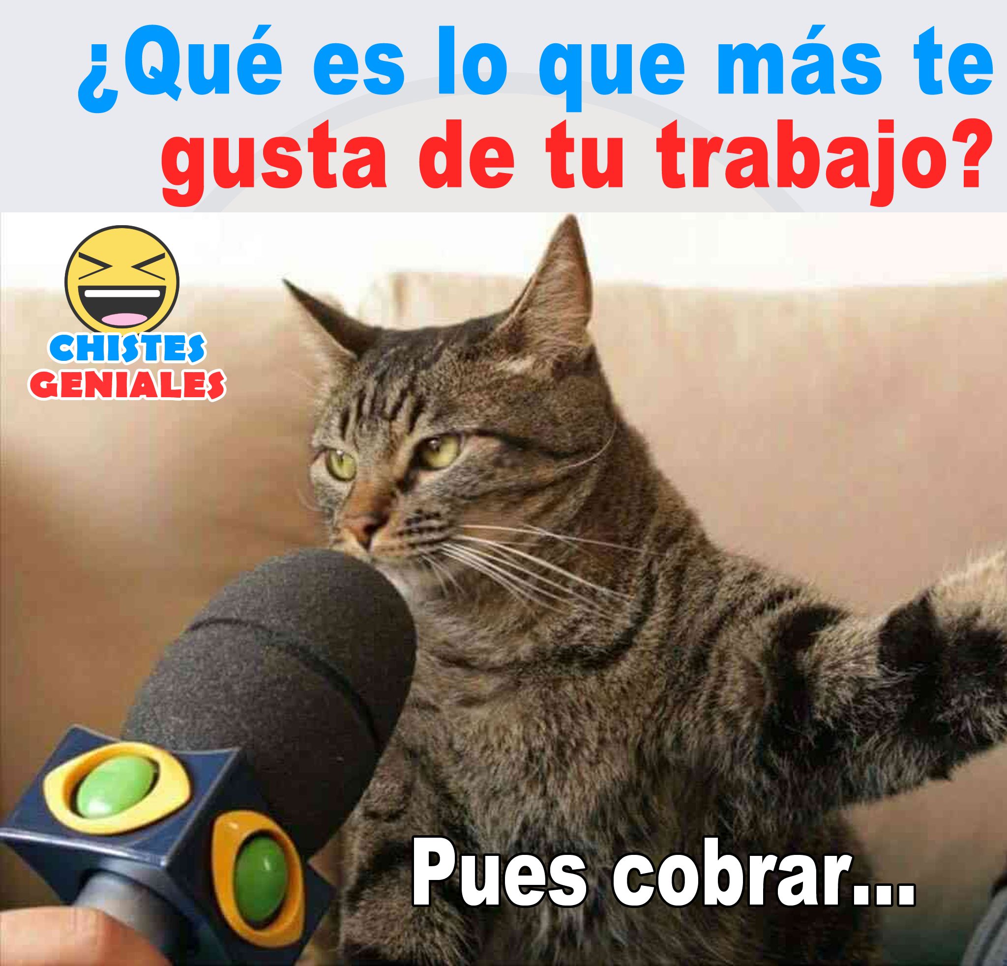 ¿Qué es lo que más te gusta de tu trabajo?