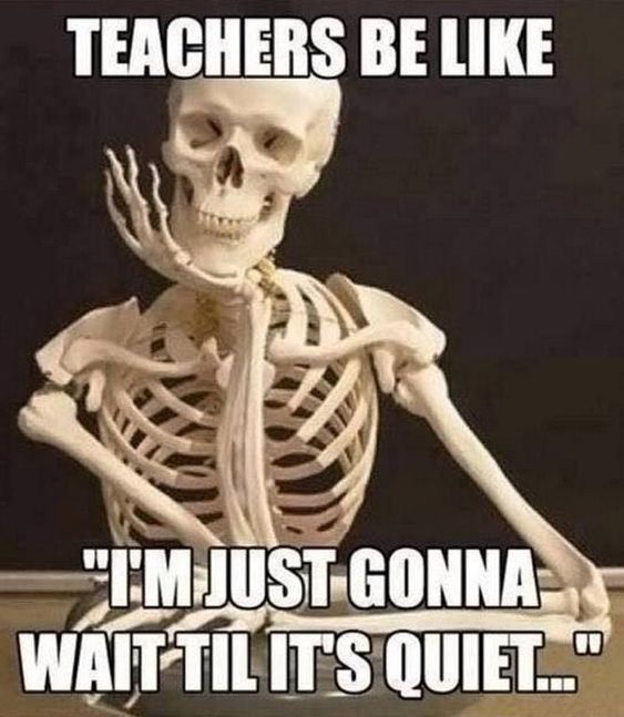 Get Ready To LOL: The Best Teacher Memes Collection!