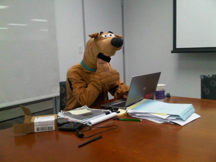 ScoobyDoo at work for KPMG (allegedly)
