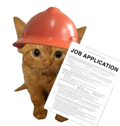 job application