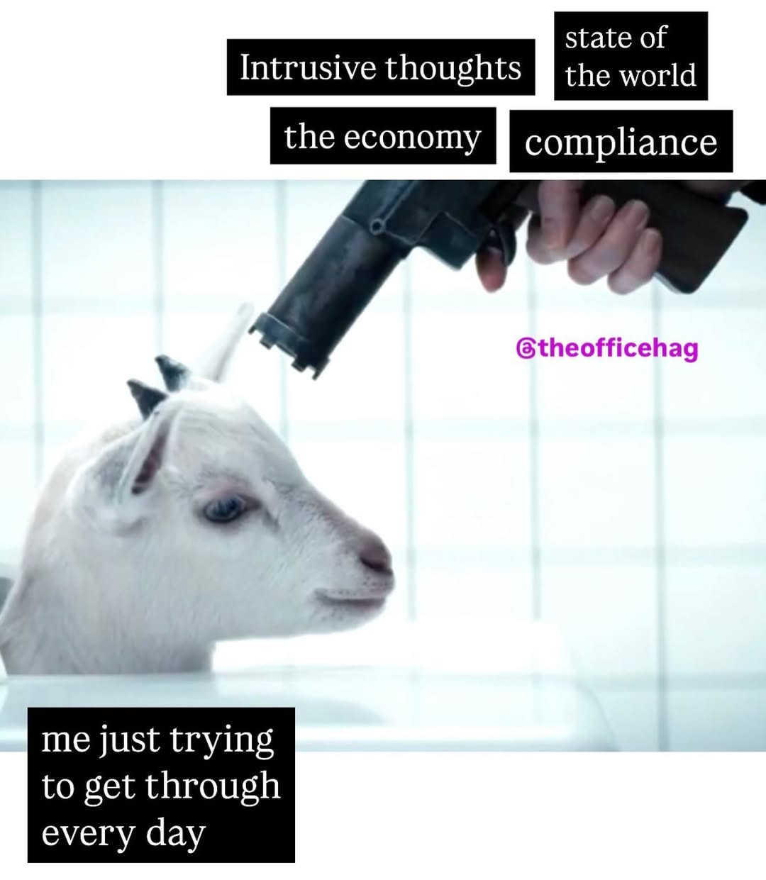 20 Memes for the Office That Are Funnier Than Your Boss’s Jokes