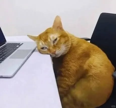 Untitled post 3517