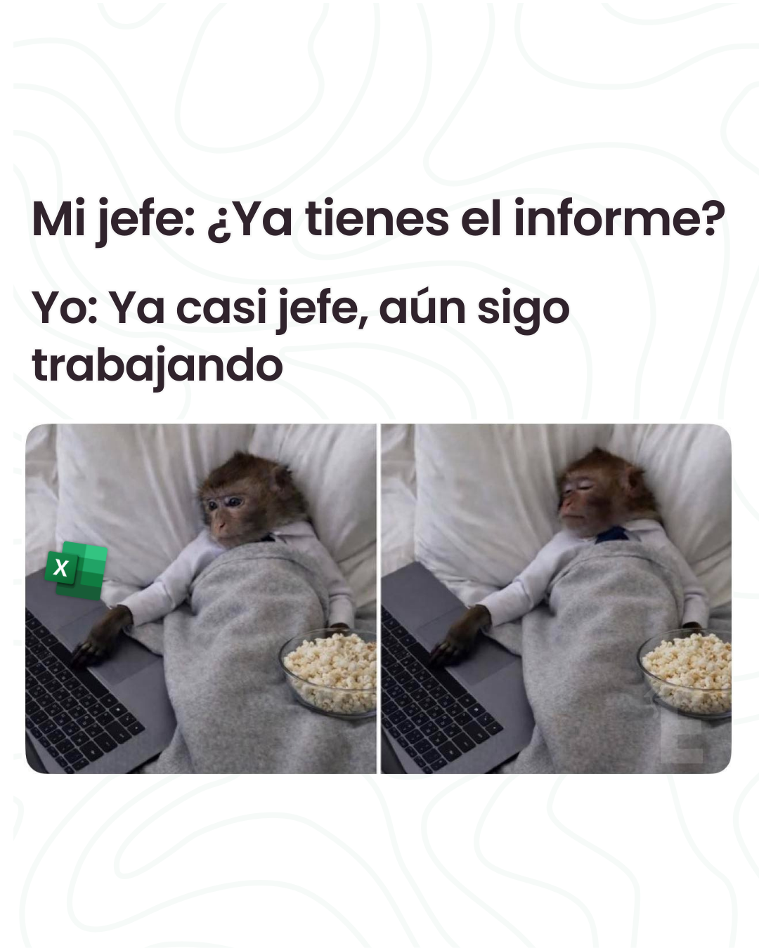 No me desconcentre jefe. 🤨