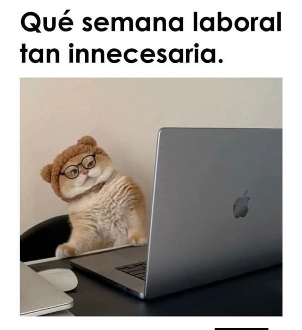 Memes De Ciencias Sociales .