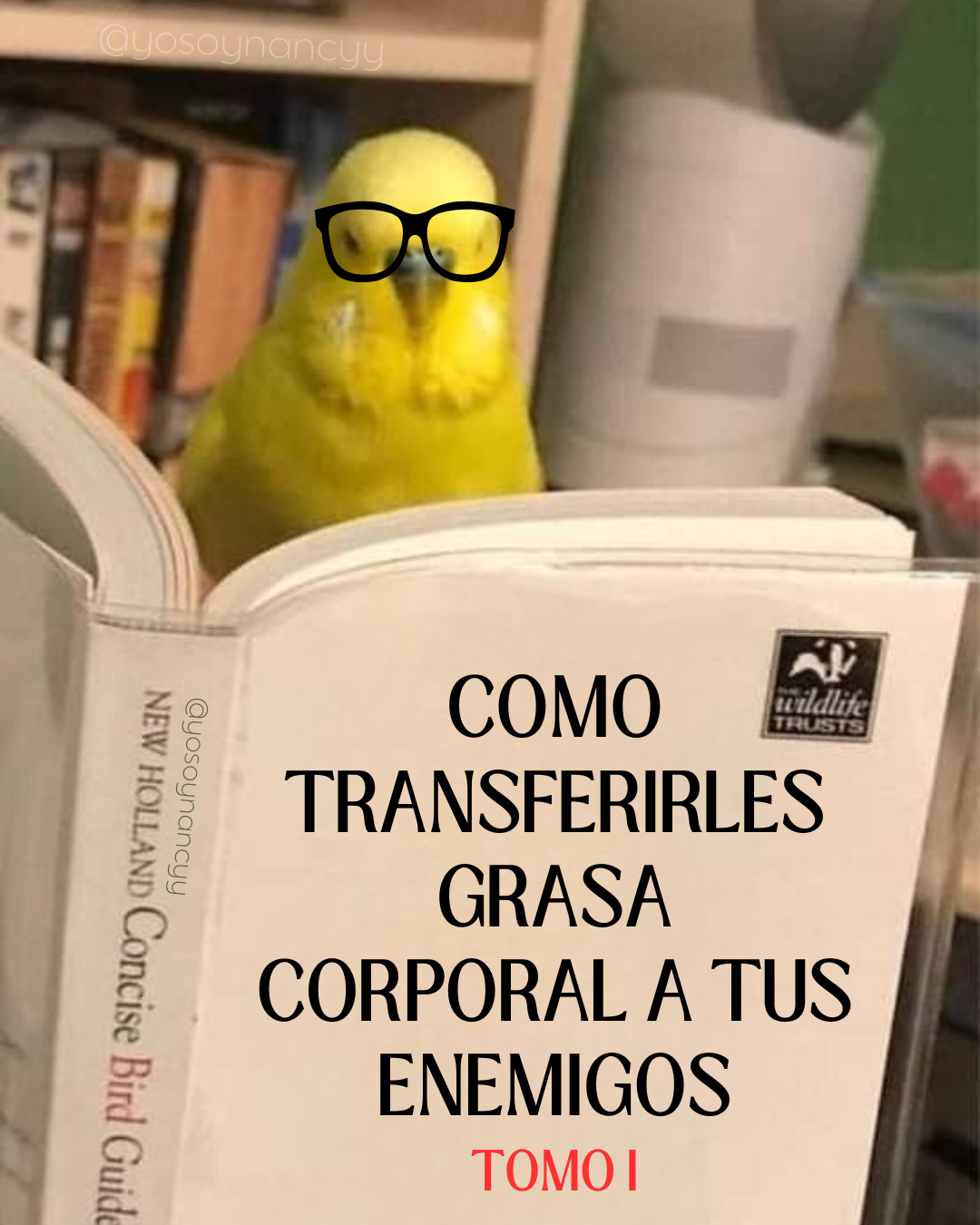ᑎᗩᑎᑕY